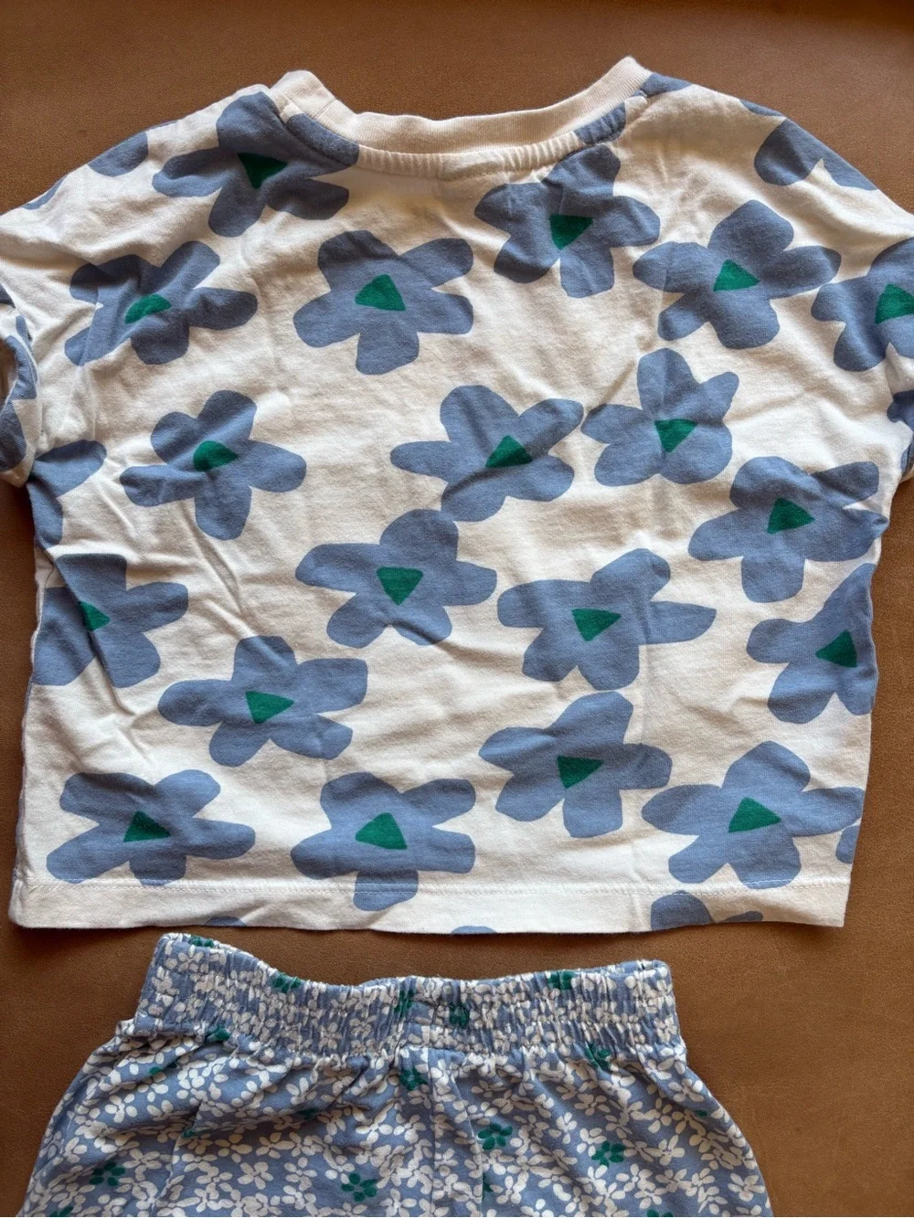 Hanna Andersson Floral T-Shirt and Shorts Set